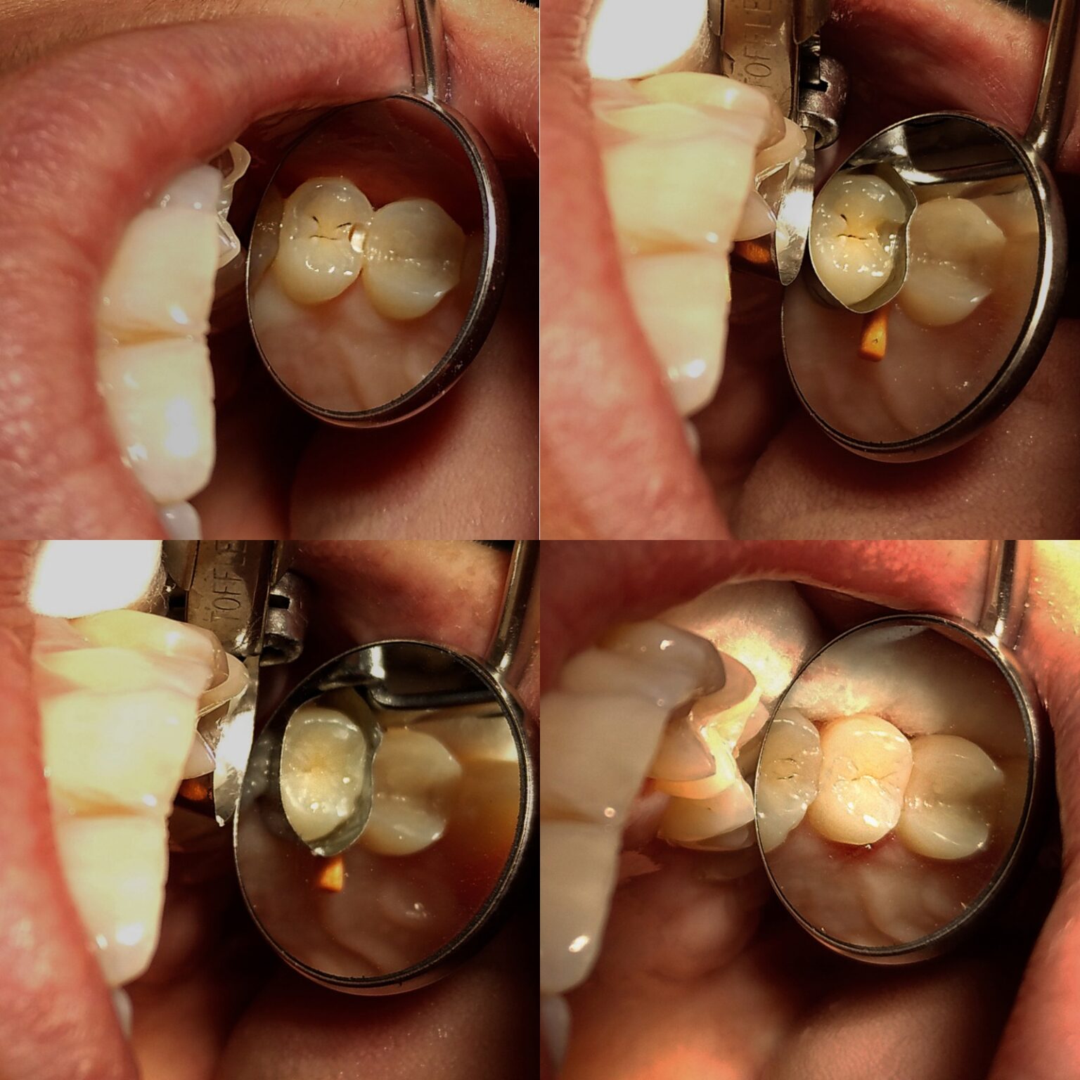 WhatsApp Image 2026-01-28 at 20.13.41